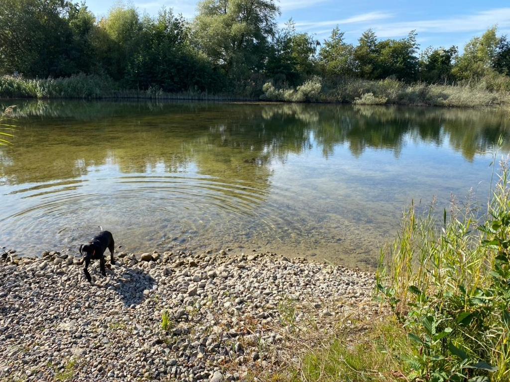 Naturlig Pa Korsgarden Glamping Nysted Esterno foto